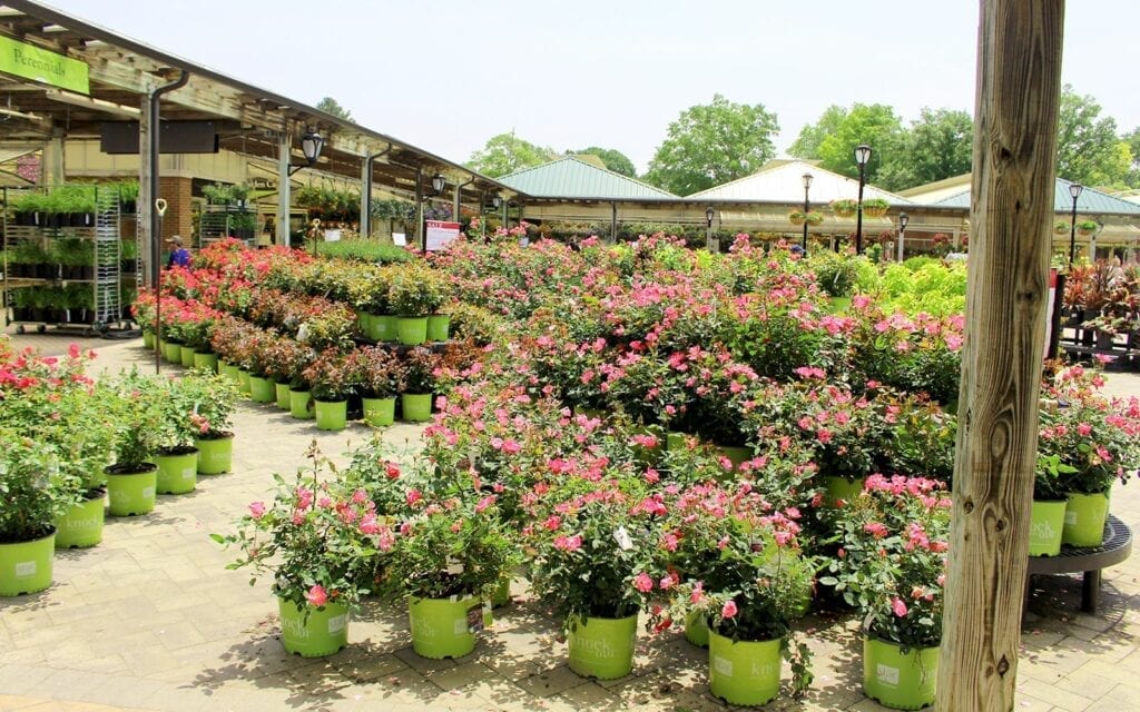 About Us Long Island’s Largest Plant Nursery Hicks Nurseries