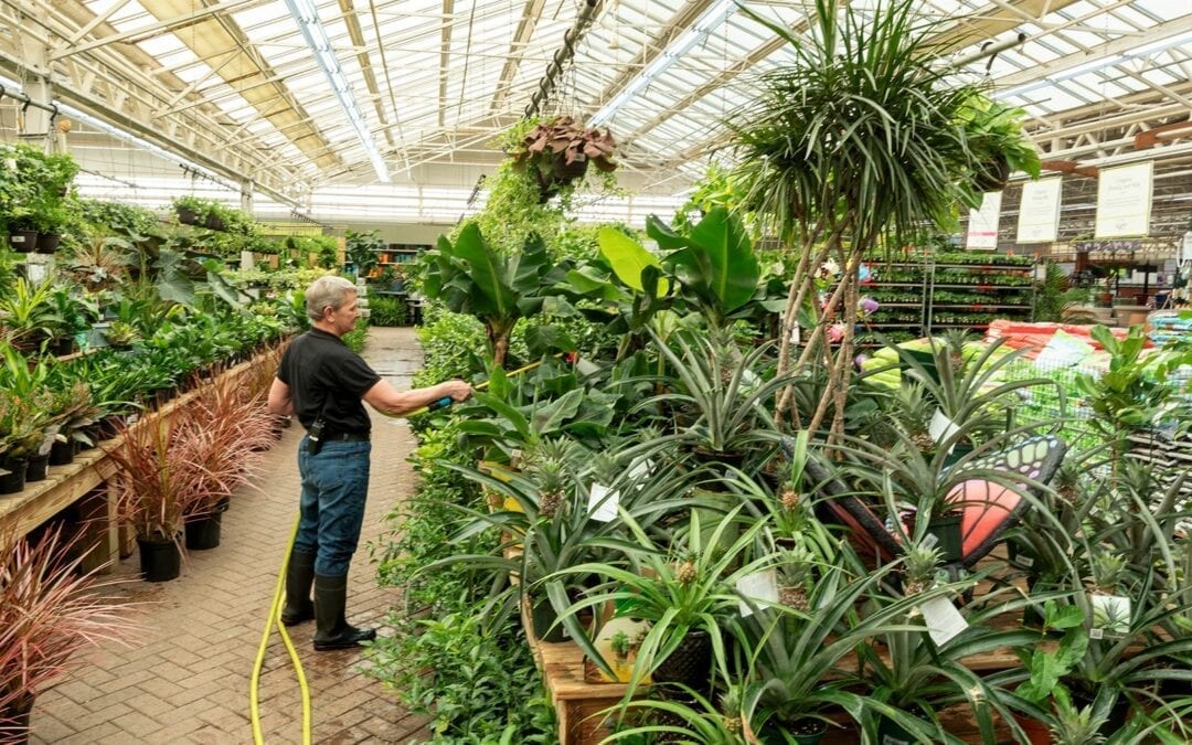 Nursery Jobs at Hicks Gardening Careers in Westbury, New York