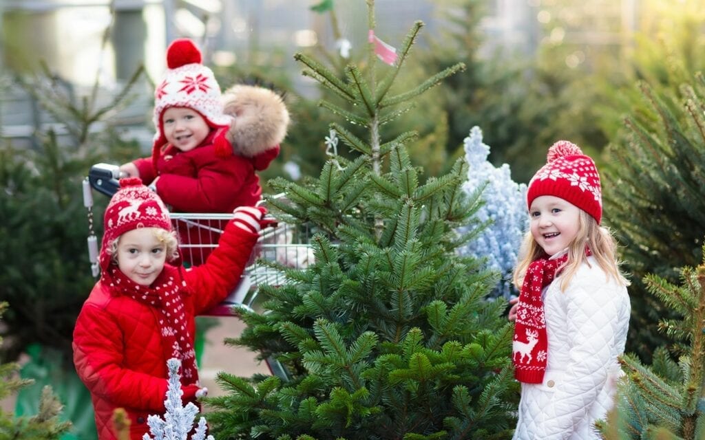 Hicks nursery christmas tree coupons