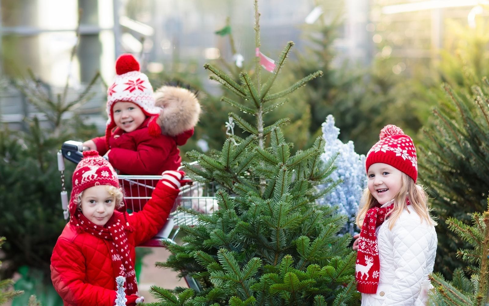 Children with a Christmas Tree