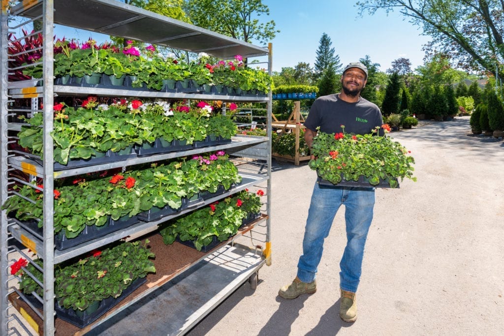 Nursery Jobs at Hicks Gardening Careers in Westbury, New York