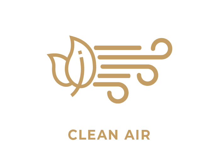 Clean Air Icon