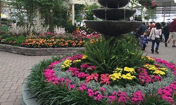 Flower Show Fountain