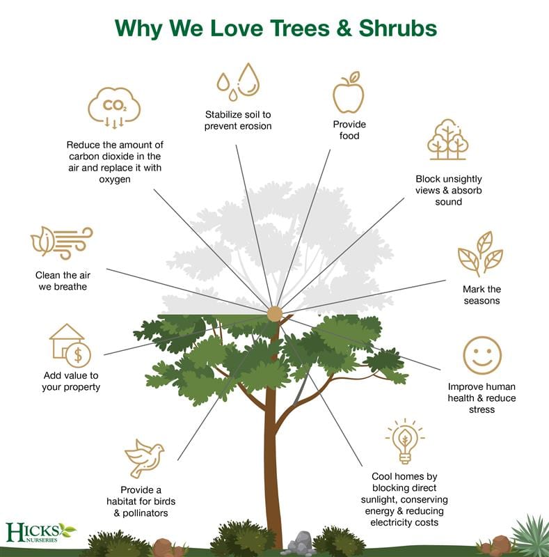 benefits of trees and shrubs