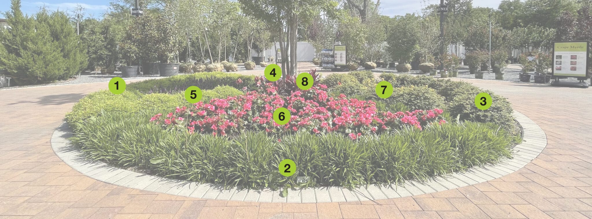 Beds and Borders Garden Hicks Nurseries