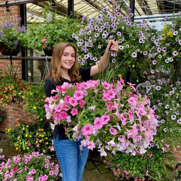 Hanging Flower Baskets