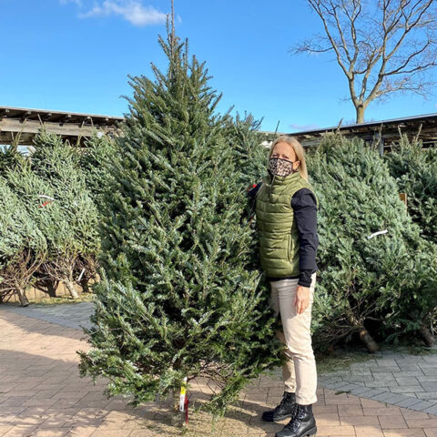 Hicks nursery christmas tree coupons