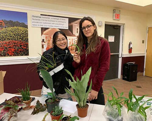 Plant Swap - Hicks Nurseries