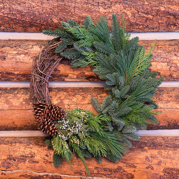 Grapevine and Greens Wreath 20-inch 293873