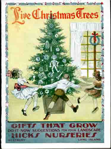 Hicks Nurseries Live Christmas Trees - Gifts That Grow - 1915