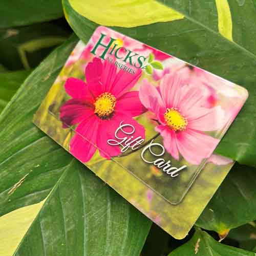 Hicks Nurseries Gift Cards