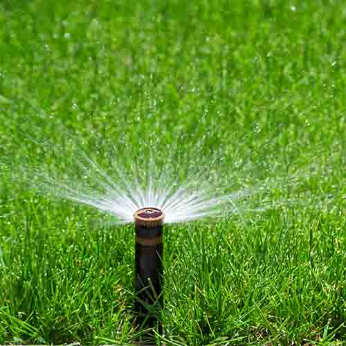 lawn care and fertilizer