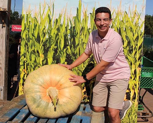 Giant Pumpkin Weigh Off at Hicks Nurseries 2018