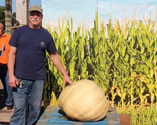 Giant Pumpkin Weigh Off at Hicks Nurseries 2018