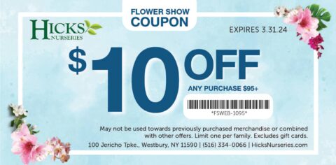 Hicks nursery christmas tree coupons