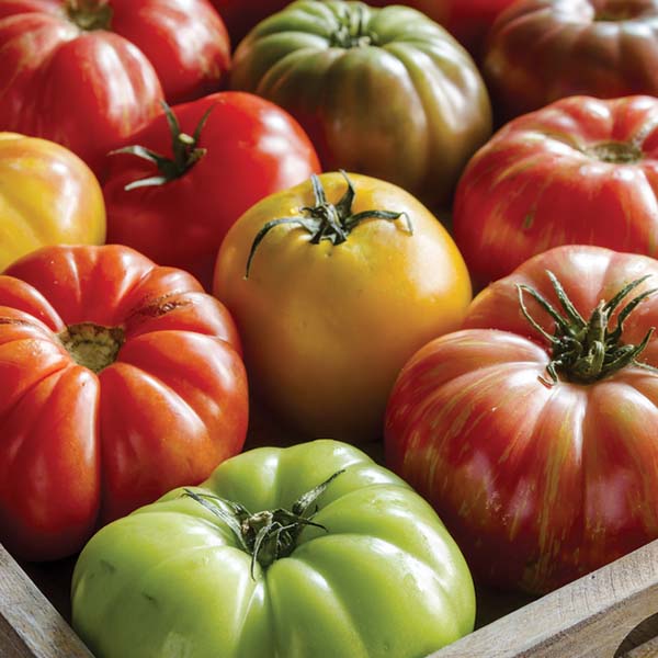 Assorted Heirloom Tomatoes