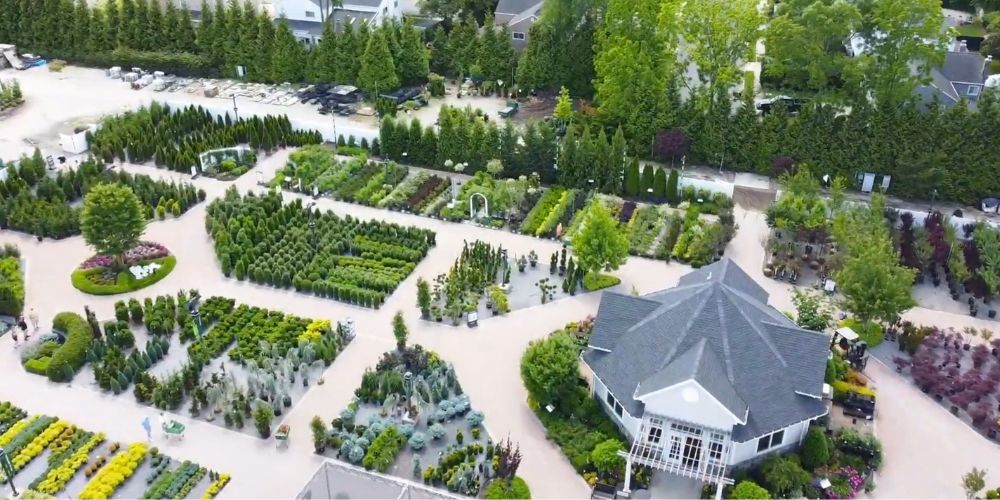 Hicks Nurseries Tree and Shrub Yard, Landscape Inspiration Center