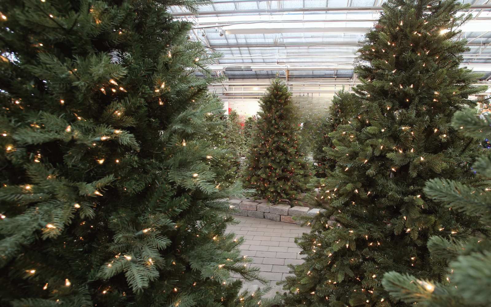 A display of artificial Christmas trees in a store, with several trees decorated with string lights. The trees are arranged in rows on a tiled floor under a transparent roof, creating a festive atmosphere.