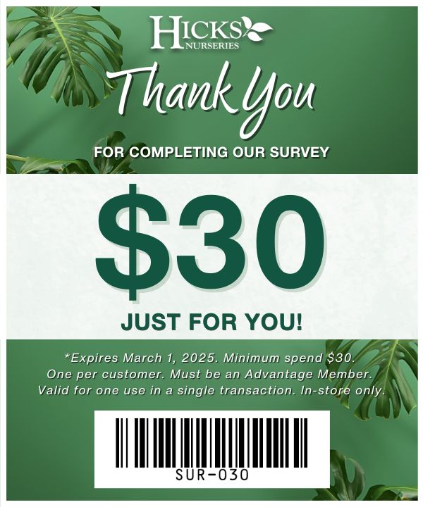 A green promotional coupon with tropical leaves, offering $30 for completing a survey at Hicks Nurseries. Expires March 1, 2025, requires a $30 minimum spend, and is valid for in-store use by Advantage Members. Includes coupon code SUR-030.