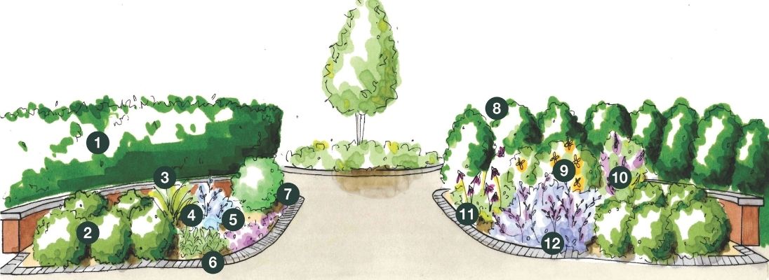 Hicks Nurseries deer resistant display garden with labeled plants along a curved path, bordered by shrubs and flower beds featuring various small leafy and flowering plants, with a single tree in the background.