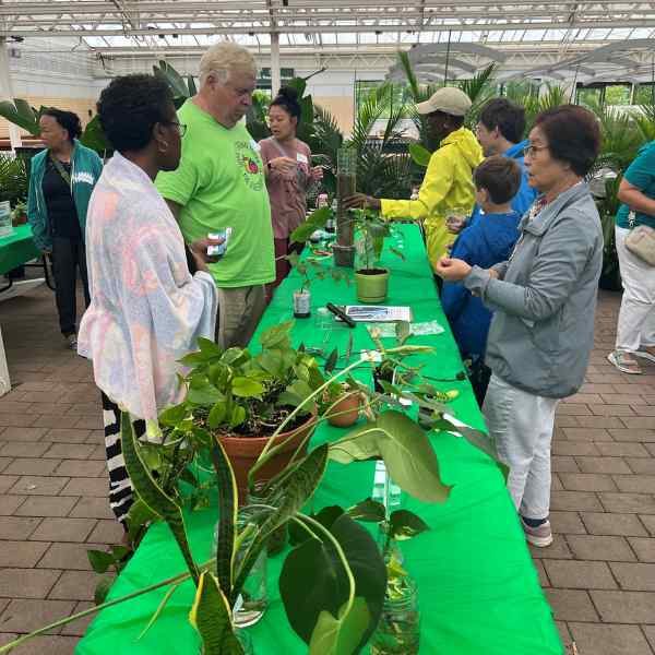 People gather around a long table covered with green cloth and various potted plants inside a greenhouse. Several adults and children interact, exchanging plants and talking. Lush greenery surrounds the area.