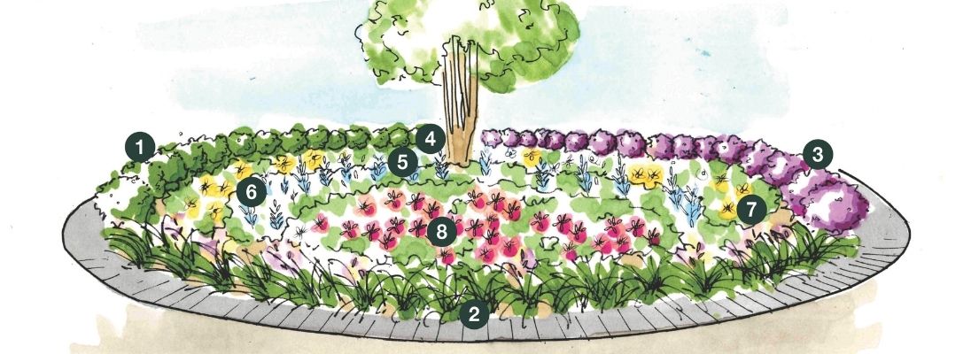 Illustration of Hicks Nurseries Beds & Borders Garden, an oval flower bed bordered by a stone path, with numbered sections of various colorful flowers, short greenery at the front, and a central tree in the background.