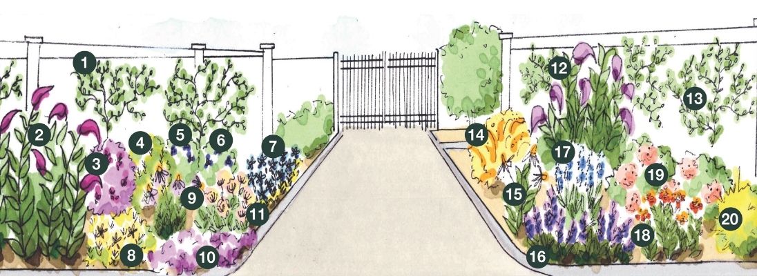 Illustration of the Bird and Butterfly Pollinator Garden at Hicks Nurseries. A symmetrical garden with flower beds on both sides of a path leading to a gate. Each bed contains various colorful, numbered flowers and plants bordered by a white fence and green shrubs.