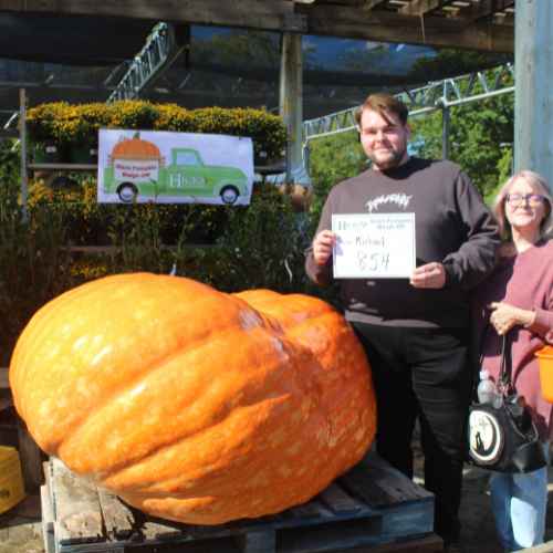 Giant Pumpkin Contest at Hicks Nurseries 2024-2 A man and woman stand next to a massive orange pumpkin on a wooden pallet. The man holds a sign reading 854 and they are outdoors with plants and a banner in the background.