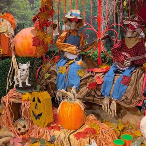Hicks Nurseries Fall Animated Story featuring scarecrows and pumpkins Two scarecrows with banjos sit among pumpkins, autumn leaves, and a white dog statue. Bright orange pumpkins and a carved jack-o’-lantern add to the festive fall scene.