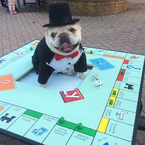 Hicks Nurseries Pet Parade (1) A smiling dog in a tuxedo and top hat sits in the center of a Monopoly board, with two dice and game pieces around it, outdoors on a brick pavement.