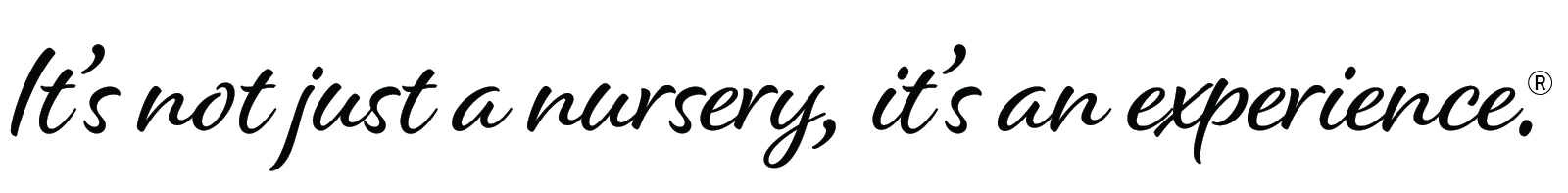 Its not just a nursery its an experience_ trademarked Text in a black, handwritten-style script reads: “It’s not just a nursery, it’s an experience.” A registered trademark symbol appears at the end. The background is light gray.