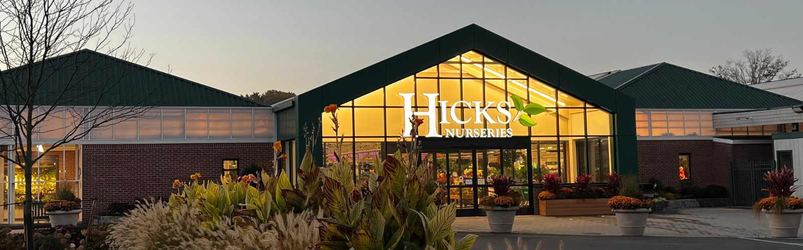 The entrance of Hicks Nurseries is brightly lit at dusk, with large glass windows, green roofs, potted plants, and colorful flowers arranged in front of the building.