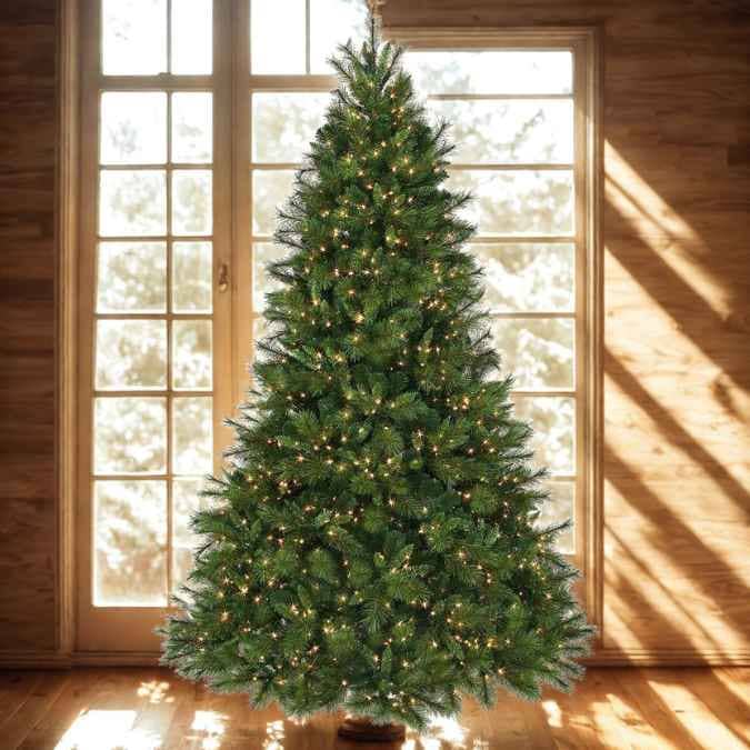 A decorated Christmas tree with twinkling white lights stands in front of large windows with wooden frames, letting in natural daylight.