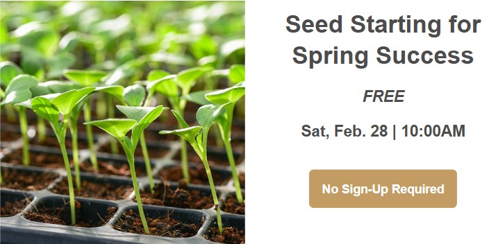 Close-up of green seedlings in black plastic trays on the left, with event details on the right: Seed Starting for Spring Success, free on Sat, Feb. 28 at 10:00 AM. Button says No Sign-Up Required.