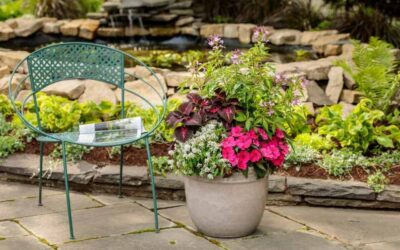 SunPatiens: Bold, Reliable Color for Long Island Gardens
