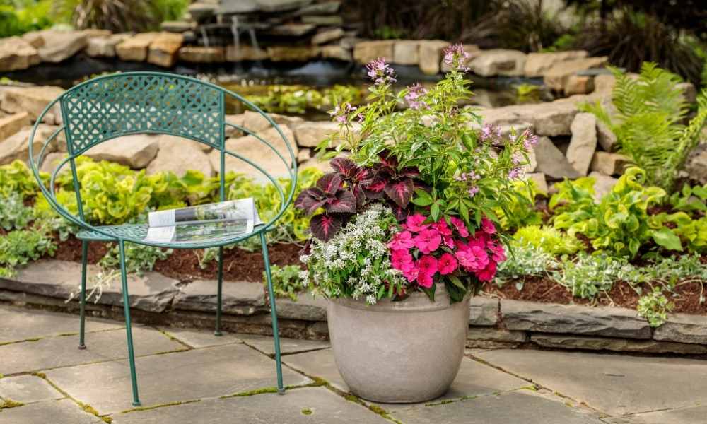 A metal garden chair sits next to a flowerpot filled with colorful blooming flowers on a stone patio, with a pond and lush greenery in the background. A magazine rests on the chairs seat.