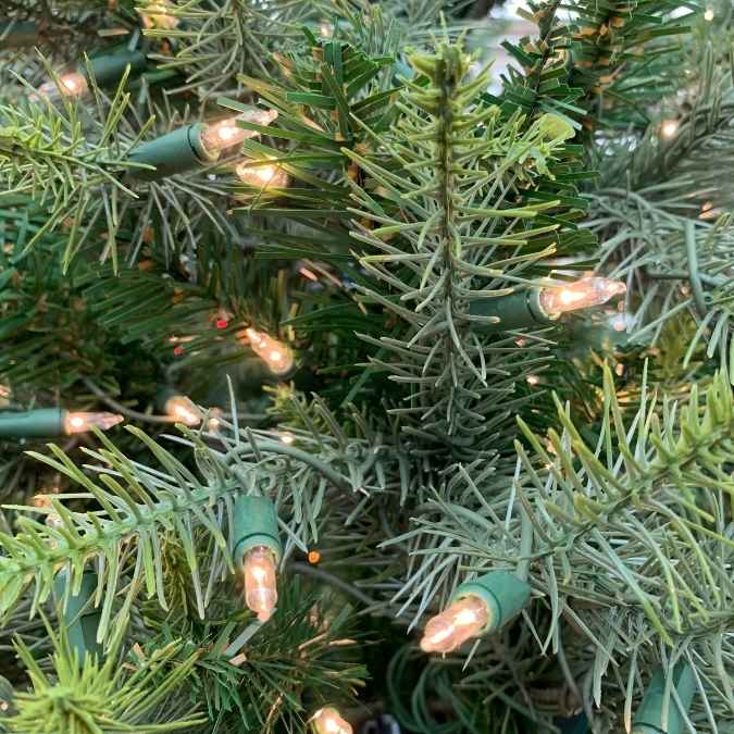 Close-up of a Christmas tree with glowing warm white string lights nestled among the needles.
